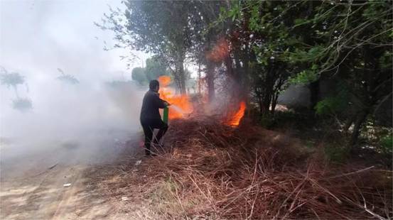 fbe4f2c67473c98b5a09eed4797cd67